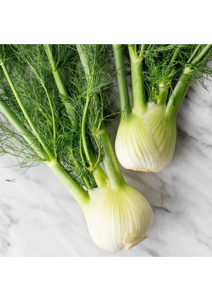 Floransa Kök Rezene Tohumu Fennel indirimleri