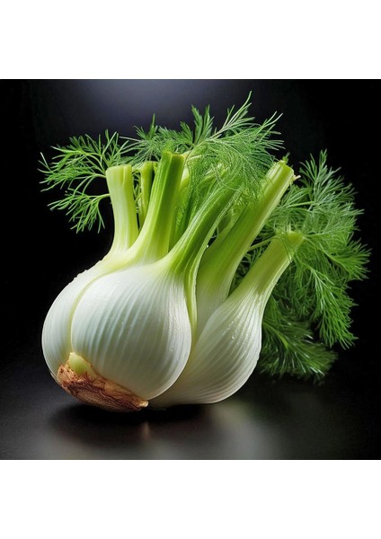 Floransa Kök Rezene Tohumu Fennel