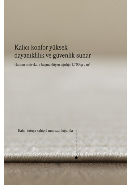 Modern Şık Tasarımlı Sisal Salon Oturma Odası Yolluk Krem Halı modelleri