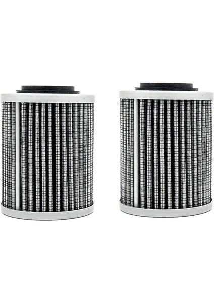 2x 420956124 2017 Ski-Doo Expedition Le Se Sport 600 900 1200 Için Petrol Filtresi (Yurt Dışından)