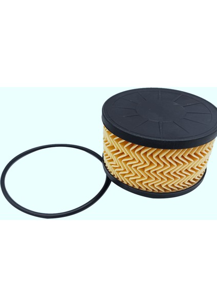 Dacia Mercedes-Benz Smart Nissan 2811800210 2001800009 1520900Q0F 152095084R Için 2x Yağ Filtresi (Yurt Dışından) modelleri