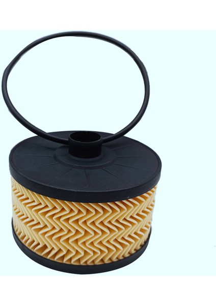 Dacia Mercedes-Benz Smart Nissan 2811800210 2001800009 1520900Q0F 152095084R Için 2x Yağ Filtresi (Yurt Dışından) indirimleri