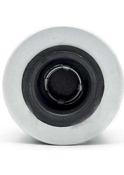 10X 420956124 2017 Ski-Doo Expedition Le Se Sport 600 900 1200 Için Petrol Filtresi (Yurt Dışından) fiyatları