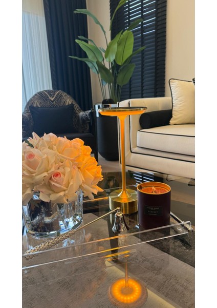 CT-8438 Toronto Şarjlı Masa Lambası Gold Gövde modelleri