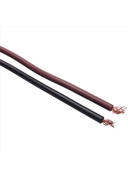 5x 12/ 24V 3 LED Plaka Day Hafif Tekne Rv Kamyon Trailer Iç Lamba (Yurt Dışından)