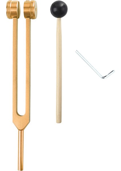 L69A 256 Hz Tuning Çatal Tıbbi Iyileştirme Aleti Çekiçli Bir Onarım Aracı Insan Biofield Diapa Son (Altın) (Yurt Dışından)