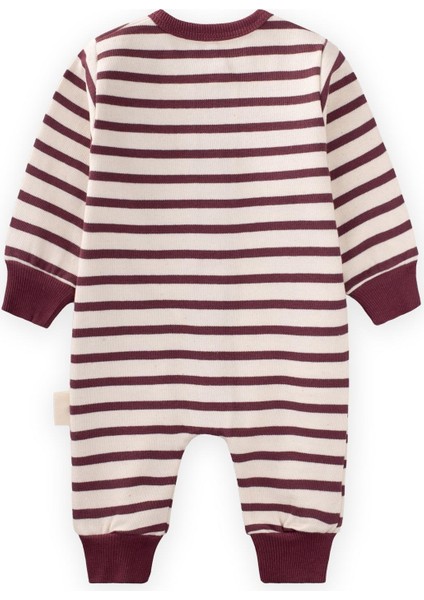 Çizgili Triko Tulum 0-3 Yaş Mürdüm fiyatları