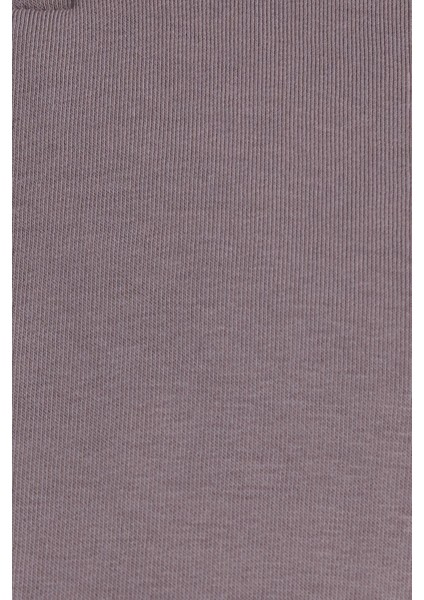 Kadın Relax Fit Rahat Kesim Pamuklu Içi Polarlı Yarım Fermuarlı Gri Dik Yaka Sweatshirt