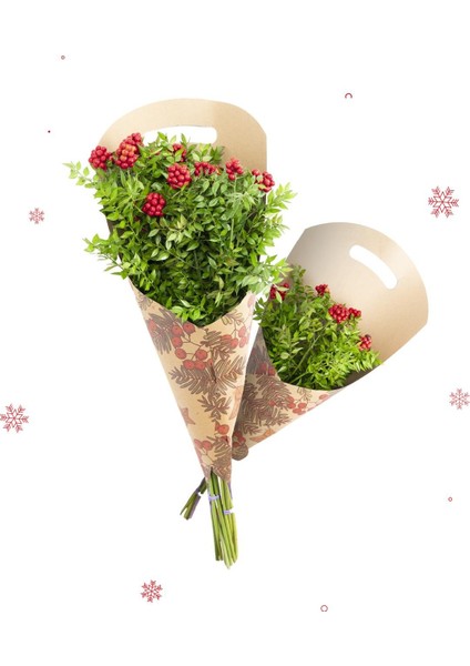 Kokina Çiçeği Demeti (Yılbaşı Çiçeği) - 12'li Demet