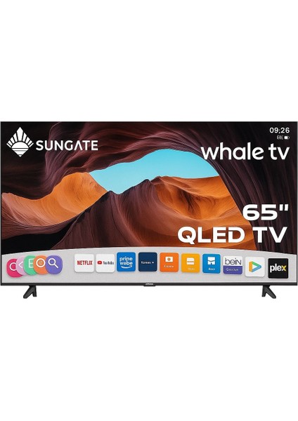 Q Led 65'' Whale OS