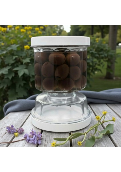 Technow Vip Ahmet Sulu Peynir Saklama Kabı 500 ml modelleri