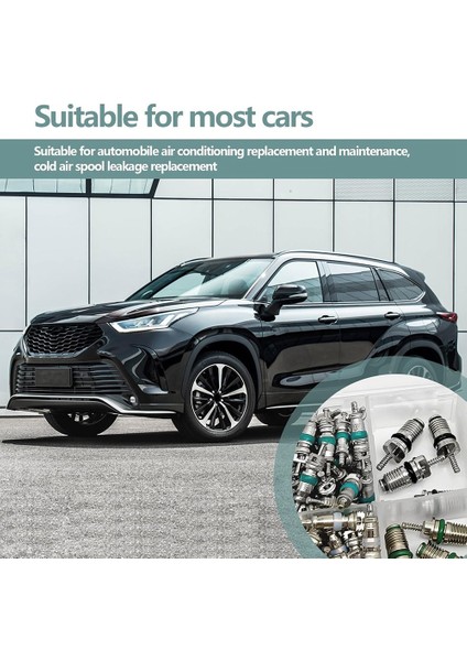 102PCS Klima Valf Çekirdek Valf Çekirdekleri A/c R12 R134A Aksesuarlar Kiti Valf Kök Çekirdekleri Onarım Aracı Çeşitleri (Yurt Dışından) fırsatları