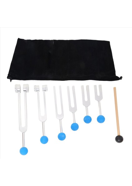 6pcs 128Hz 256Hz 512Hz 1024Hz 2048Hz 4096Hz Ayar Çatalı Çatal Çatal Ses Titreşim Aracı Gümüş (Yurt Dışından) fiyatları