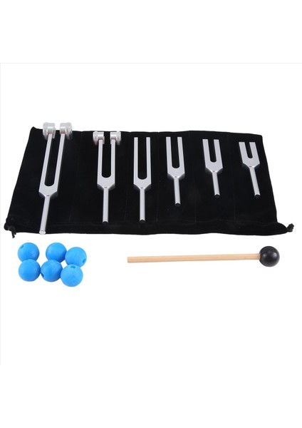 6pcs 128Hz 256Hz 512Hz 1024Hz 2048Hz 4096Hz Ayar Çatalı Çatal Çatal Ses Titreşim Aracı Gümüş (Yurt Dışından) modelleri