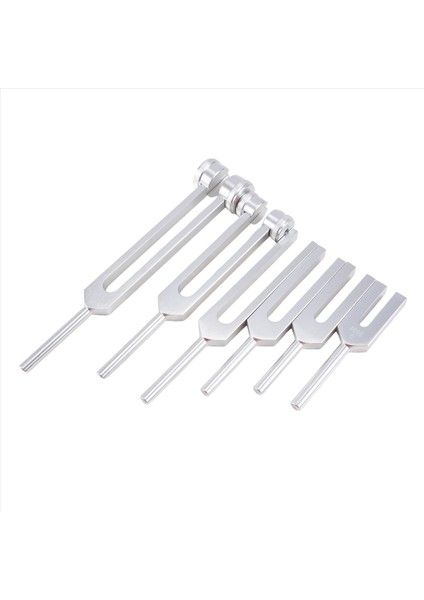 6pcs 128Hz 256Hz 512Hz 1024Hz 2048Hz 4096Hz Ayar Çatalı Çatal Çatal Ses Titreşim Aracı Gümüş (Yurt Dışından) indirimleri