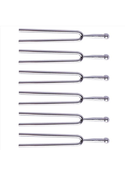 6x Yumuşak Kabuklu Kılıflı Çatal Standart A 440 Hz (Yurt Dışından)