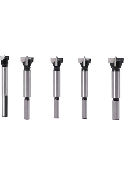 Üçgen Kanatlara Sahip Beş Endüstriyel Sınıf Karbür Ağaç Işleme Biti 12 mm 15 mm 17 mm 20 mm ve 23 mm Içerir (Yurt Dışından)