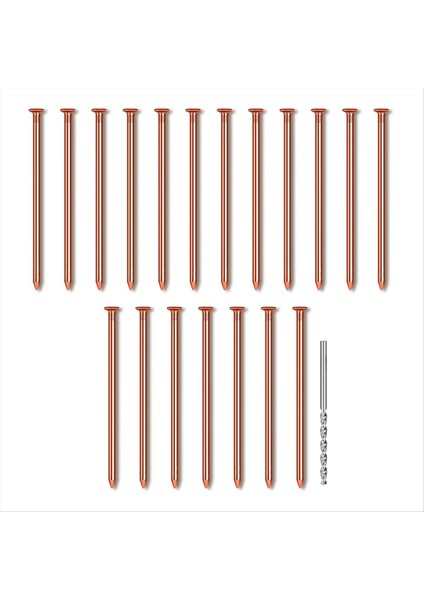 25PCS Bakır Çiviler 3 14 Inç Uzunluğunda Saf Bakır Çivi Matkap Ucu ile Toplu Olarak Ağaçlar Için Kazık Tırnaklarını Çıkarın Donanım Çivileri (Yurt Dışından)