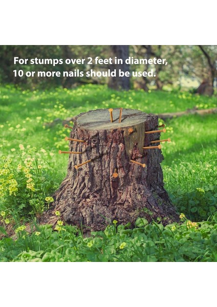 25PCS Bakır Çiviler 3 14 Inç Uzunluğunda Saf Bakır Çivi Matkap Ucu ile Toplu Olarak Ağaçlar Için Kazık Tırnaklarını Çıkarın Donanım Çivileri (Yurt Dışından) modelleri