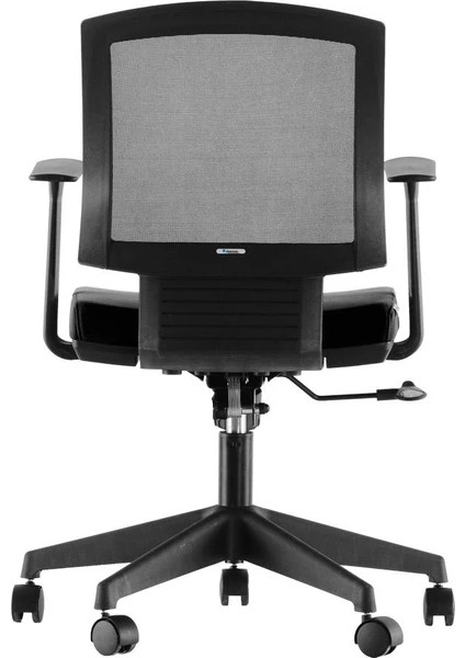 Rex One 100P modelleri