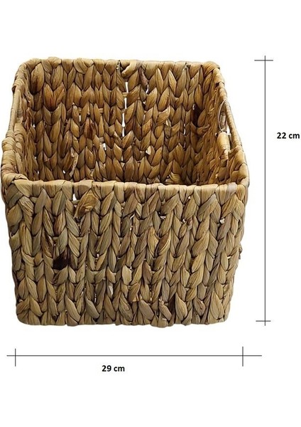 Naturel Kare Sepet M Boy PNL-22100M