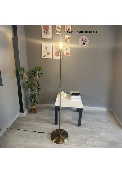 Vishi Bal Rengi Cam Lambader Düz Ince Gövde Modern Dekoratif Metal Zemin Lambası modelleri