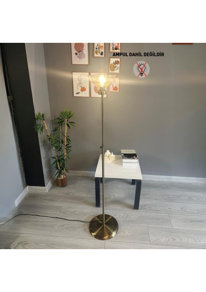 Vishi Bal Rengi Cam Lambader Düz Ince Gövde Modern Dekoratif Metal Zemin Lambası indirimleri