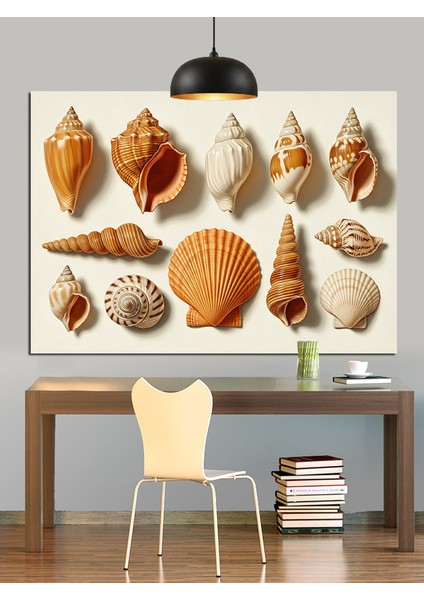 Deniz Kabukları Çeşitli Koleksiyon Dekoratif Kanvas - Mdf Ahşap Tablo