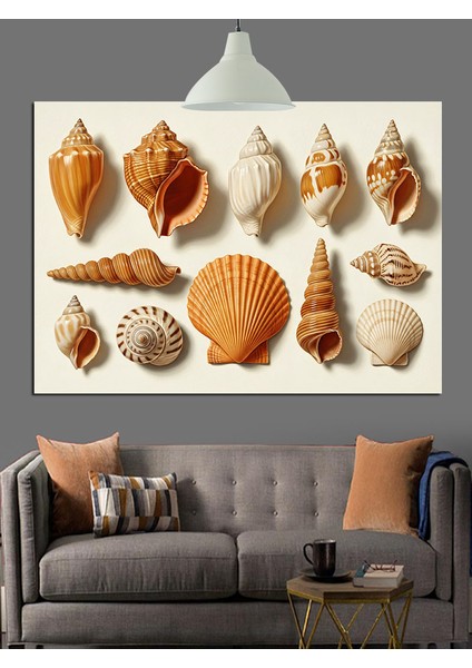 Deniz Kabukları Çeşitli Koleksiyon Dekoratif Kanvas - Mdf Ahşap Tablo indirimleri
