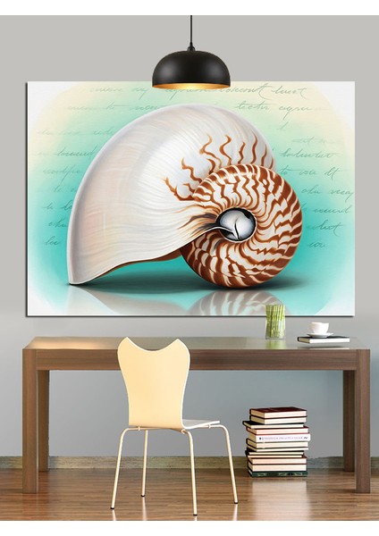 Deniz Kabuğu Figürü Dekoratif Kanvas - Mdf Ahşap Tablo fiyatları