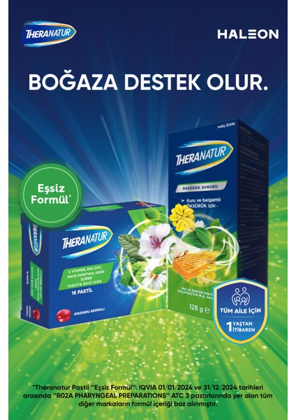 Ahududu Aromalı 16lı Pastil fiyatları