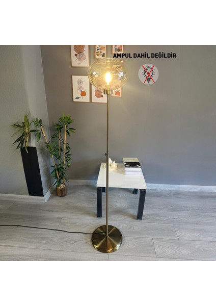 Solvia Cam Bal Rengi Düz Ince Gövde Lambader Modern Oturma Odası modelleri