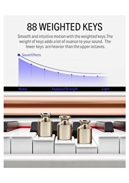 DDP-100 Beyaz Dijital Piyano 88 Tuşlu Özel Özelliklerle Müzik Deneyimi
