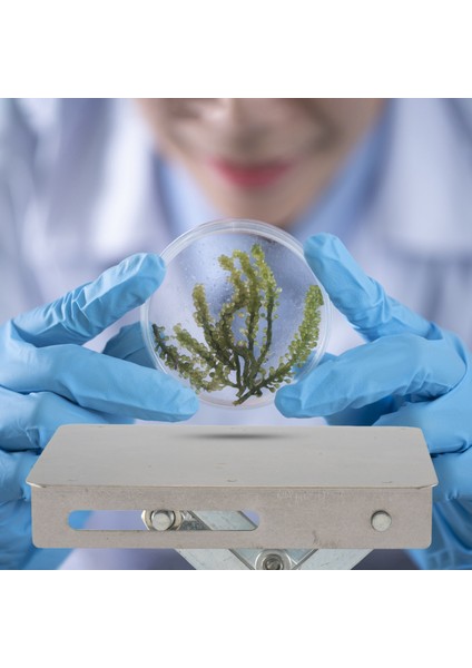 Scientific LAB-100 x 100MM Paslanmaz Çelik Laboratuvar Tablo Rafı Makas Laboratuvar-Kaldırıcı Bilim Deneyi Için (Yurt Dışından) fiyatları