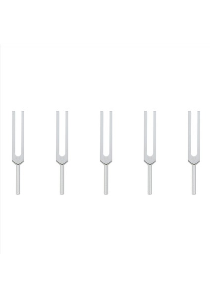 5x Distribütör Profesyonel C512 Hz Tuning Fork (Yurt Dışından)