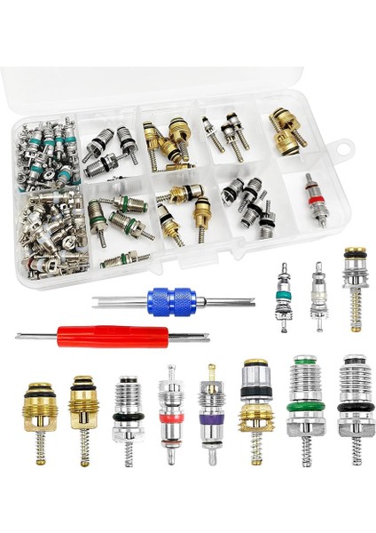 102PCS Klima Valf Çekirdek Valf Çekirdekleri A/c R12 R134A Aksesuarlar Kiti Valf Kök Çekirdekleri Onarım Aracı Çeşitleri (Yurt Dışından)
