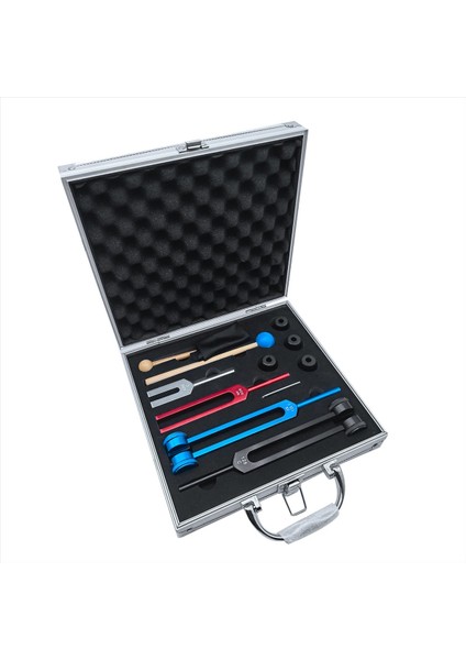 4pcs Tuning Fork Tıbbi-Ses Iyileştirme Seti Çakra Ses Terapisi Iyileştirme Çatalları Vücudu Tutma (Yurt Dışından)