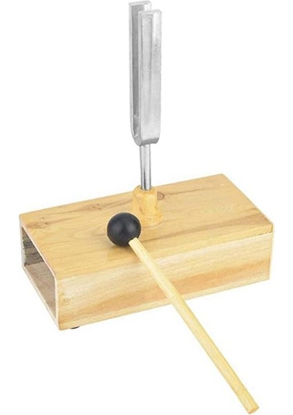 2 Adet Ahşap Rezonatör ile Çatal Ayarlama Kutusu 440Hz Virbration 1 Adet ile Deneysel Alet Çatal Nakliyesi Ayarlama (Yurt Dışından) modelleri