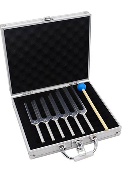 6pcs/set Tuting Fork Ses Titreşim Terapisi Çakra Çelik Müzik Kiti Şifa Ses Titreşim Terapisi (Yurt Dışından) modelleri