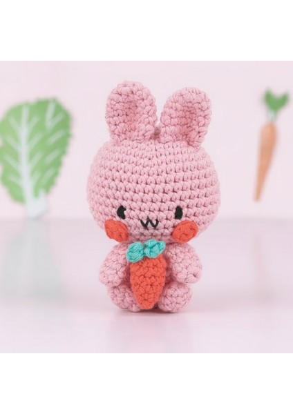 Sevimli Tavşan Amigurumi Yapım Kiti Türkçe - Hello Adorable Beatrice The Bunny fiyatları