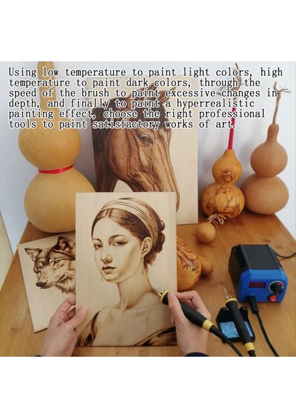 Ahşap Yakma Kiti Ahşap Aracı Dijital Ayarlanabilir Sıcaklık Ahşap Burner Kit Ahşap Brülör Takım Abd Fiş (Yurt Dışından) fiyatları