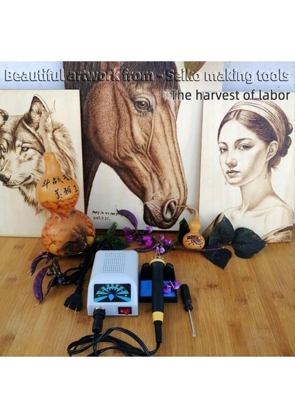 LH20 Ahşap Yakma Kiti Ahşap Aracı Ayarlanabilir Sıcaklık Ahşap Brülör Kiti Profesyonel Ahşap Kiti Abd Fiş (Yurt Dışından) fırsatları