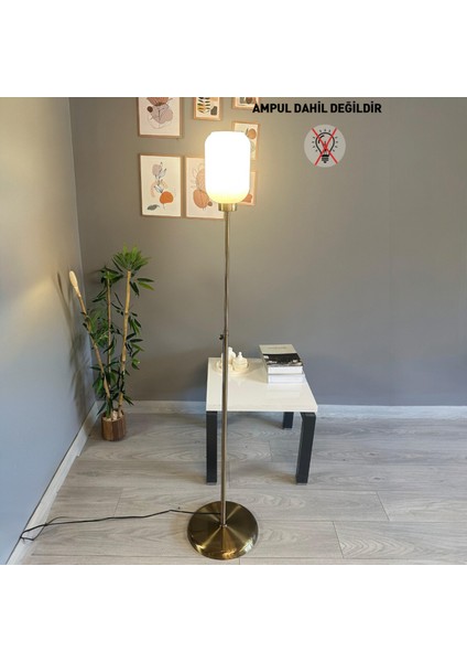 Wingmn Beyaz Cam Lambader Düz Ince Gövde Modern Dekoratif Metal Oturma Odası Zemin Lambası fiyatları