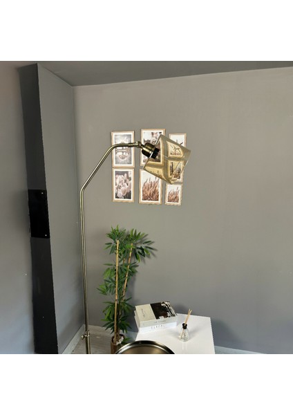 Lille Bal Rengi Cam Eskitme Gövde Lambader Tepsili Modern Metal Zemin Lambası modelleri