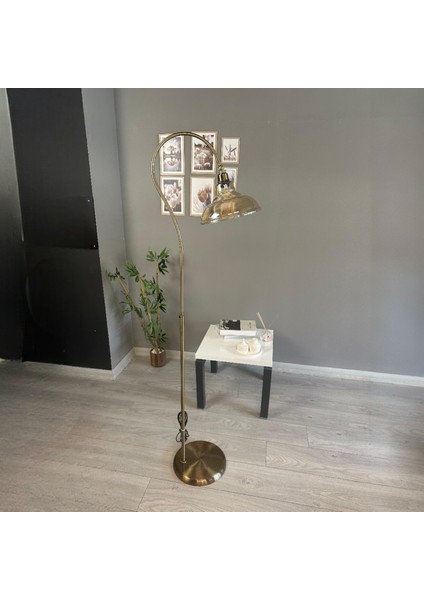 Vishi Bal Rengi Cam Lambader Soru Işareti Gövde Modern Dekoratif Metal Oturma Odası Zemin Lambası modelleri