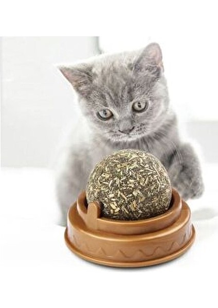 Kedi Otu Oyun Topu Cat Mint - Doğal Malzeme ile Kedinizin Eğlencesi için Güvenli Oyun fiyatları
