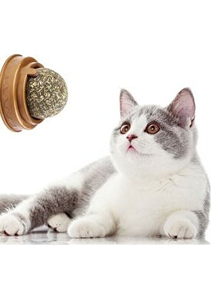 Kedi Otu Oyun Topu Cat Mint - Doğal Malzeme ile Kedinizin Eğlencesi için Güvenli Oyun indirimleri
