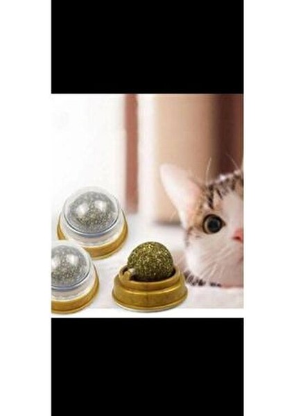 Kedi Otu Oyun Topu Cat Mint - Doğal Malzeme ile Kedinizin Eğlencesi için Güvenli Oyun