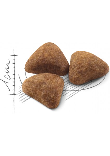 Indoor Ev Kedileri İçin Kedi Maması 400 gr