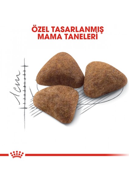Indoor Ev Kedileri İçin Kedi Maması 400 gr